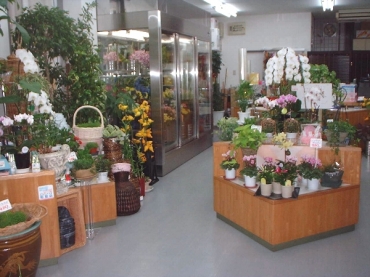 「フローリスト・グリーンハウス」　（宮城県仙台市若林区）の花屋店舗写真2